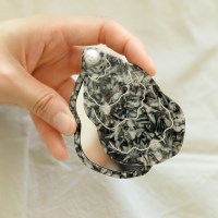 (선물포장) Oyster Mirror - Coucou Suzette(쿠쿠수제뜨)