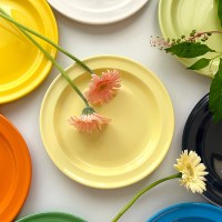 [선물세트] 비비드컬러 플랫 플레이트 8color 2p세트 접시