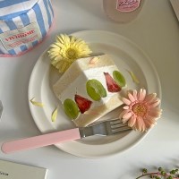비비드컬러 플레이트 8color 브런치 디저트 카페 접시