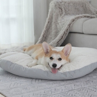 강아지가 편한 댕댕이용 강아지방석 고양이방석