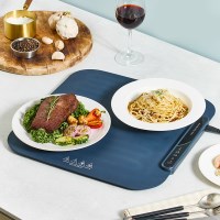 [LEVIOSA] 레비오사 어디서나 따뜻하게 홈플레이트 푸드워머 LEVI-24