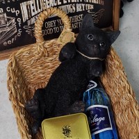 마그넷 펫 뱅크 누운 검은 고양이