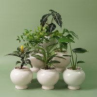 달항아리 화분 38종 식물 분갈이 완제품 인테리어 도자기 화분 행운