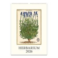 2026카발리니캘린더 Herbarium
