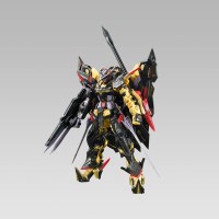 RG 건담 어스트레이 골드 프레임 아마츠 미나