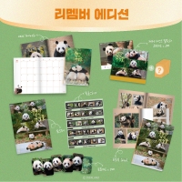 리멤버 에디션(Remember Edition)