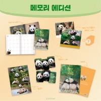 메모리 에디션(Memory Edition)