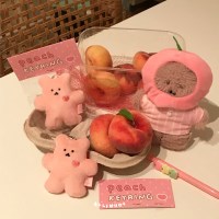 피치 차니베어 키링