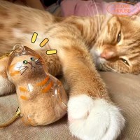 정식통관_반려동물 키링 고양이 강아지 털 보관함 케이스