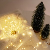 LED 와이어 지네전구 (200구) 실버웜컬러 건전기형 캠핑 차박