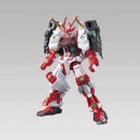 HG 전국 어스트레이 건담