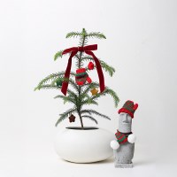 아라우카리아(M) 스노우볼 크리스마스트리 수경화분