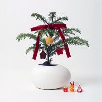 아라우카리아(S) 스노우볼 크리스마스 트리 미니화분