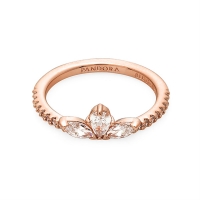 판도라 반지 스파클링 허바리움 로즈 182392C01