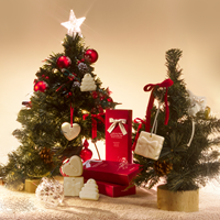 [동구밭]셀러브레이트 오브제 퍼퓸바 세트 올인원비누 홀리데이선물