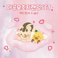 [다공]다공모조지랜덤SET