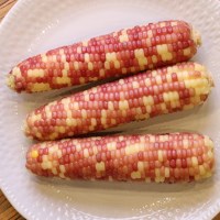 갓 삶은 냉동 쫀득 홍 찰옥수수 대 10개