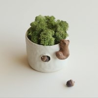 다람쥐의 작은숲 화분세트 스칸디아모스 공기정화 제습 인테리어 개