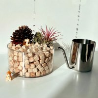 피톤치드 편백 나무 천연 가습기 자연 기화식 편백나무 큐브 칩