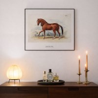 붉은말 복테리어 말 그림액자 12종 - HORSE 06 페루비안 파소