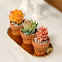 내일의공간 인조 다육이 미니 토분(화분) 3종 세트 (콩분)