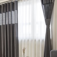 르네 레이저 커튼