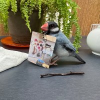 버드빌 에이게이트 자바 자석 클립 새모양 오브제