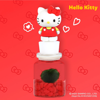 캐릭터즈 마리모 키우기