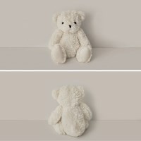 크림 테디베어