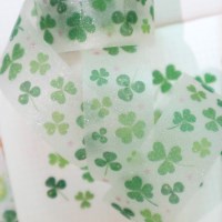 행복이 가득해 키스컷