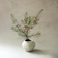 미니 달항아리 왁스플라워 (Mini Moon Jar Waxflower) 화분