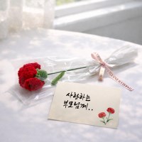 어버이날 스승의날 카네이션 1P 뜨개꽃 니트 꽃다발 감사 선물