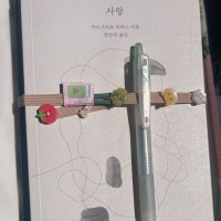 토마토 나무 책갈피, 북밴드