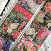 [4/10순차출고]윤구 꽃수집 키스컷