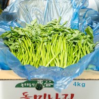 광주 동곡 돌미나리 2kg(박스포함) [P]