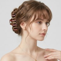 루시엔 아세테이트 헤어 집게핀 스트라이프 여성 올림머리 헤어핀 A2
