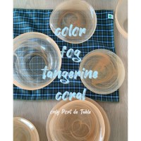 Color fog Plate & Bowl (Tangerine coral)