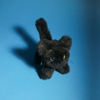 GETTY Nyx Keyring