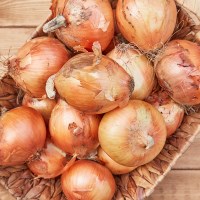 국내산 양파 5kg/소 [FD]