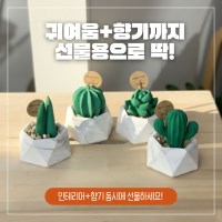 미니화분 석고방향제 샤쉐스톤 선인장 디퓨저 DIY인테리어 소품