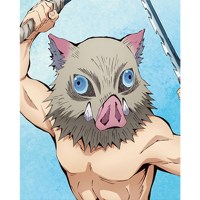 DIY 보석십자수 귀멸의 칼날 캔버스형 이노스케 40x50