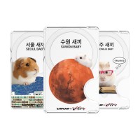 [어프어프X김씨네과일]맥세이프 카드지갑 10type