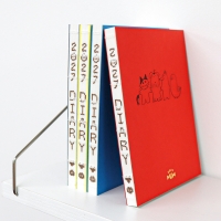 2027 Diary