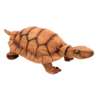4206 거북이 동물인형/22cm.L