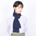 daily scarf navy