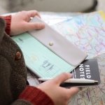 [NAHE] Travel Organizer