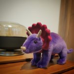 Tillandsia purple Triceratops - 틸란지아퍼플 트리케라톱스