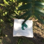 [Organic cotton] 비자림