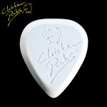 [ChickenPicks] 치킨피크 - 오래쓰는 친환경 피크 !!