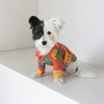 Pompom Friends Jumper